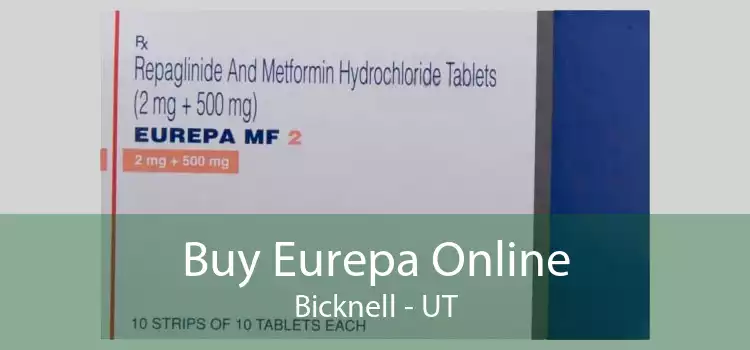 Buy Eurepa Online Bicknell - UT