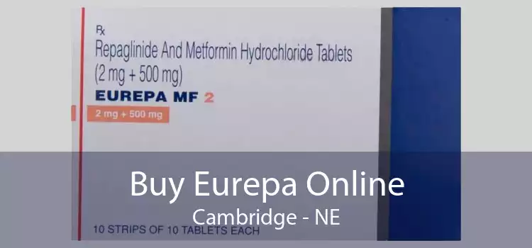 Buy Eurepa Online Cambridge - NE