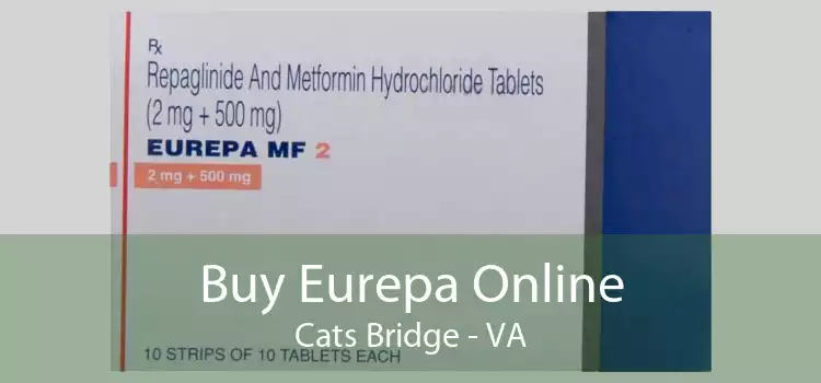 Buy Eurepa Online Cats Bridge - VA